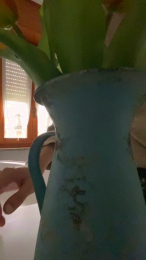 Tom_ita1 webcam model stream image