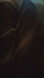 Poyon335 webcam model stream image