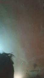 Comandante07 webcam preview