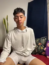 Lion_Boy18 webcam model stream image