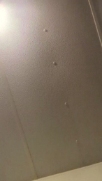 Michael1984420 webcam model stream image
