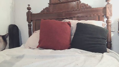 rantanplan5 webcam model stream image