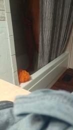 Soy_tullo webcam model stream image