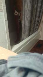 Soy_tullo webcam model stream image