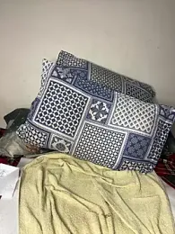 -Maya-- webcam model stream image