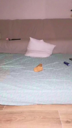 X_clochette_X webcam model stream image