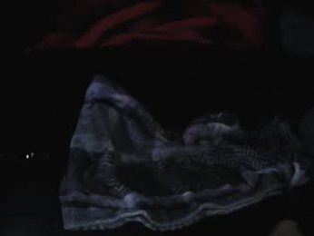 splashh_queen317 webcam model stream image