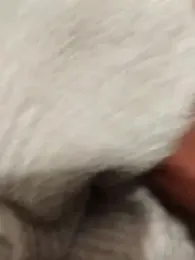 idhem___31 webcam model stream image