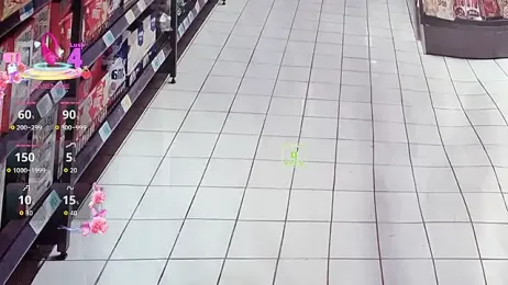 Liqinqin webcam model stream image