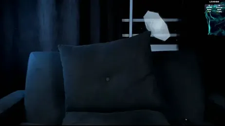 lnxmst webcam model stream image