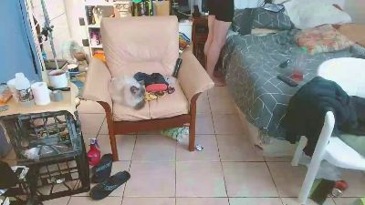 qwerty77771 webcam model stream image