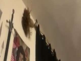 shatterranchski webcam model stream image