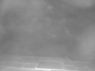 voyeurcam-casa-salsa-hottub webcam camsoda model stream image
