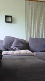 dareny webcam model stream image