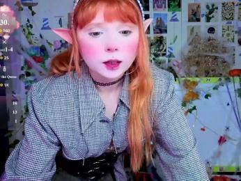 usagi-sasagi webcam preview