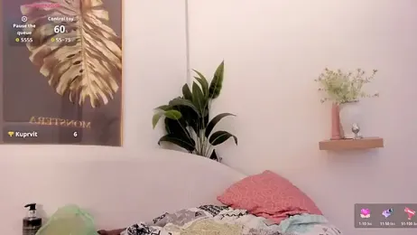 Amina_hafsa webcam stripchat model stream image