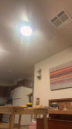 SexyMissBee21 webcam model stream image