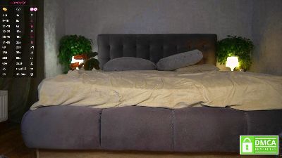 SheaBorchardt webcam model stream image