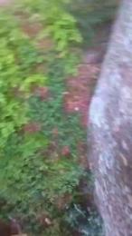 Etoile67moosa webcam cam4 model stream image