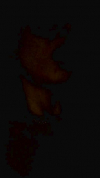 GemmaMereu webcam model stream image