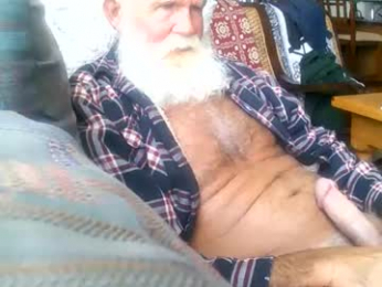 beardbushy webcam model stream image
