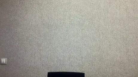 Viola-Whisper webcam model stream image