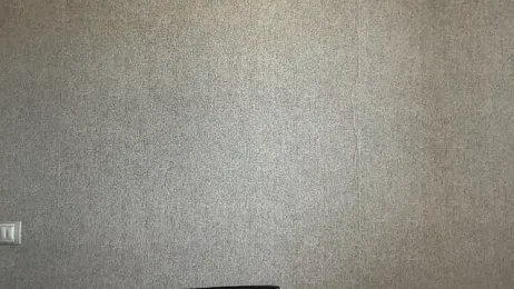 Viola-Whisper webcam model stream image