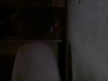 Puiuk webcam model stream image