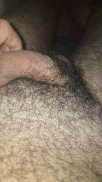 Siculo_1 webcam model stream image