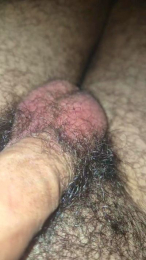 Siculo_1 webcam model stream image