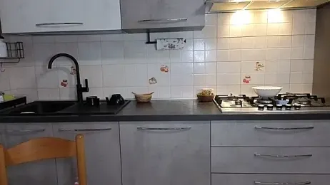 DragonflyExhib webcam preview