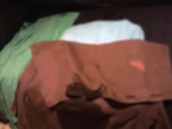 yellowsnakes webcam model stream image