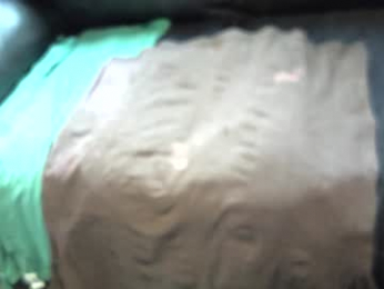 yellowsnakes webcam model stream image