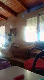 pimpam18 webcam model stream image
