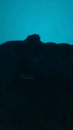 Toledoxg webcam model stream image