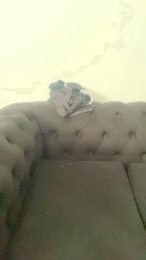 Toledoxg webcam model stream image