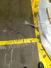 safadinhoo007 webcam stripchat model stream image