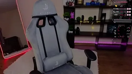 zelda_1 webcam model stream image