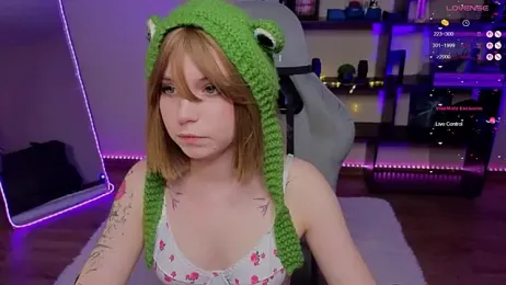 zelda_1 webcam model stream image