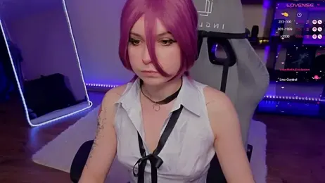 zelda_1 webcam model stream image