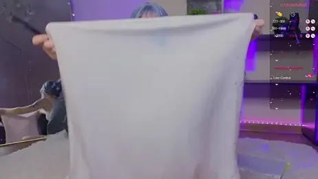 zelda_1 webcam model stream image