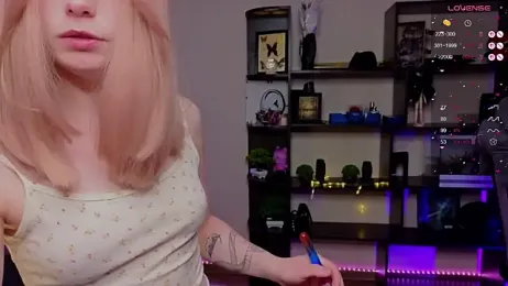 zelda_1 webcam model stream image