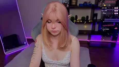 zelda_1 webcam model stream image