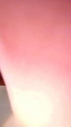 Sky6987 webcam model stream image