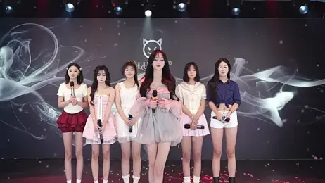 RV-525 webcam model stream image