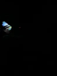 benly888 webcam stripchat model stream image