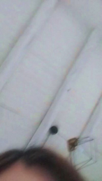 anmp20004 webcam cam4 model stream image