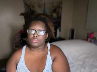 baycali4 webcam preview