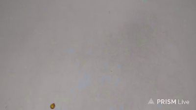 PAOLA_NOA webcam model stream image