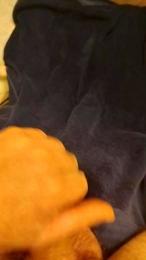 Bigdaddydick8in webcam model stream image